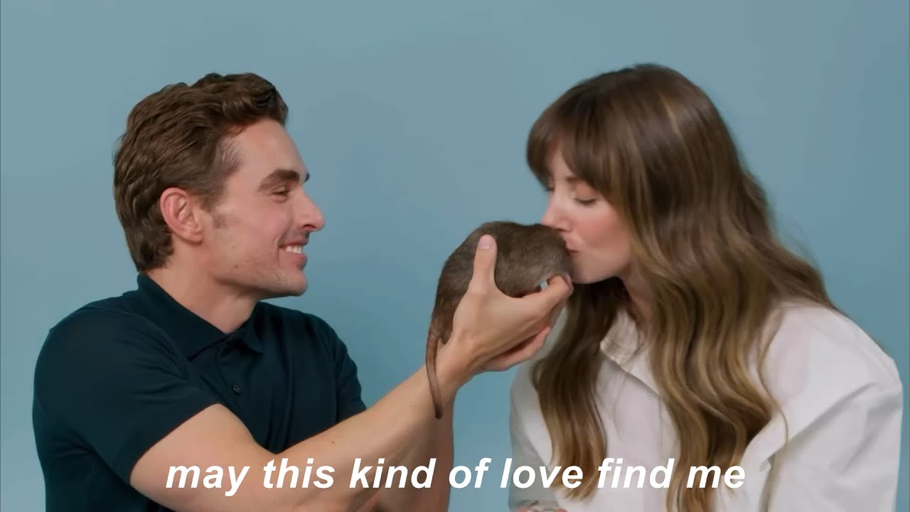 alison brie and dave franco being soulmates for 6 1/2 minutes