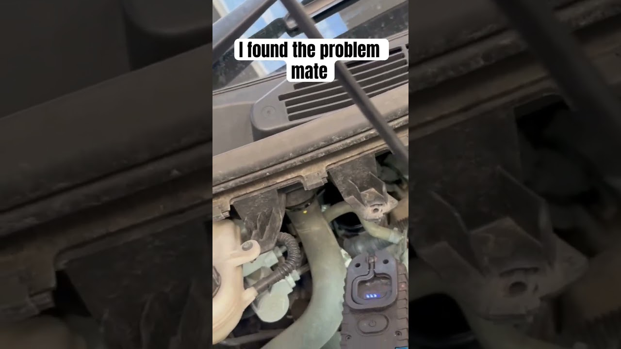 2019 Ford transit custom in with alternator problems. 