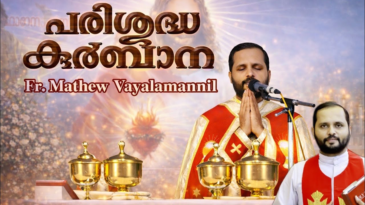 ♥️മാത്യു അച്ഛന്റെ ഭക്തിസാന്ദ്രമായ വി. കുർബാന♥️  fr Mathew Vayalamannil Holy mass