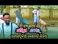    koraputia desia dubbing comedy  odia dubbed comedy  desia comedy  mr koraputia