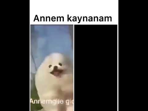 Kaynanama giderken ben vs anneme giderken ben