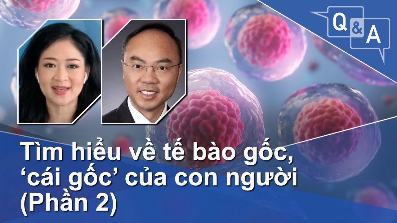 Tìm hiểu về tế bào gốc, ‘cái gốc’ của con người (Phần 2) | VOA