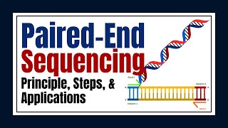 Paired-End Sequencing Explained: Principle, Steps, Applications & Comparison with Single-Read