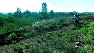 Video Bluerocks Team