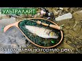 Попал НА РАЗДАЧУ ГОЛАВЛЯ! Малая река принесла сюрприз