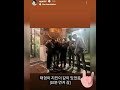 Bts* ||bts friends together **||#jin is come back|||friendship 💪💜