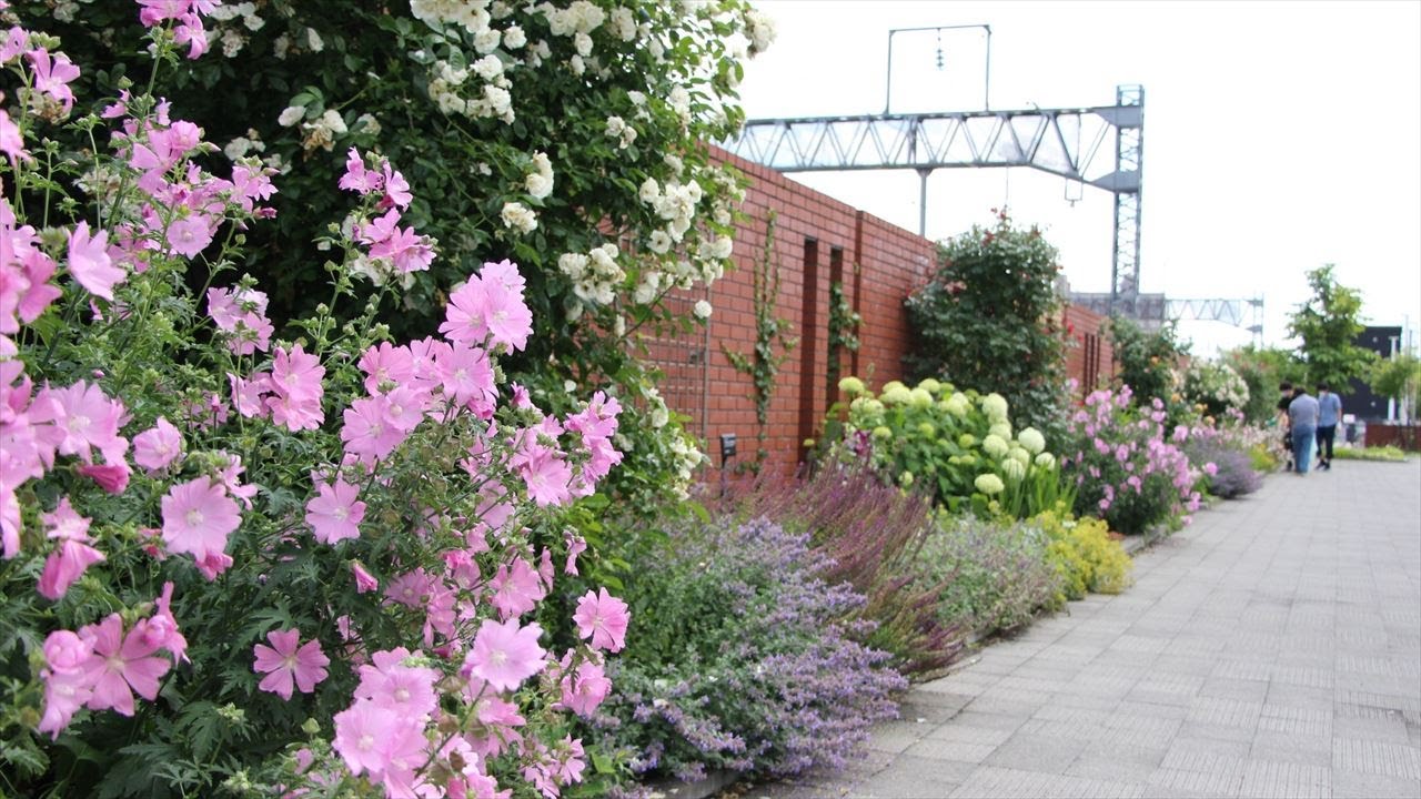 花と緑のボランティア団体情報 さっぽろ花と緑のネットワーク