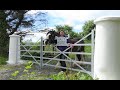 Homemade Farm / Entrance Gates From Flat Iron Bar And Some Rivets.