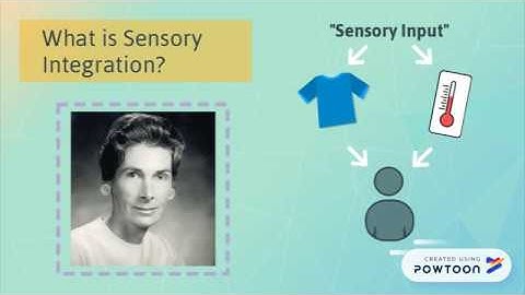 What is Sensory Integration?
