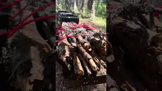 Traxxas TRX-4 Defender Off Road Test! 3D Printed RC Body Now on Cults #shorts