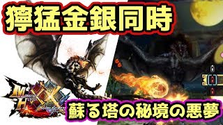 【MHXX実況】獰猛金銀同時クエスト「夜空照らすは偽りの月陽」塔の悪夢が蘇る【モンハンダブルクロス】