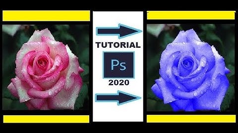 Adobe Photoshop 2020 Tutorial || Flower Colour Change Effect