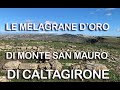 LE MELAGRANE D'ORO di Monte San Mauro. Caltagirone (CT)