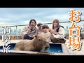 家族でお台場満喫旅！自分より大きい動物たちが迫ってきて大泣きするるかが面白すぎた。