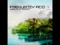 FrekuenzyAcid - Unkown Emotion (Original Mix)