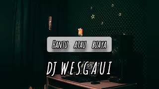 Dj wesgaui hantu_-_atau_ buaya  style Thailand remix  official 