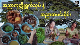 အညာကုက္ကိုရွက်သုပ်နဲ့ထမင်းဝိုင်း - Village Food Cooking and Eating