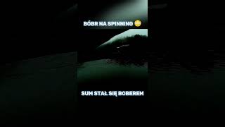 Ale fajny bober.. #spinning #fishing #wedkarstwo