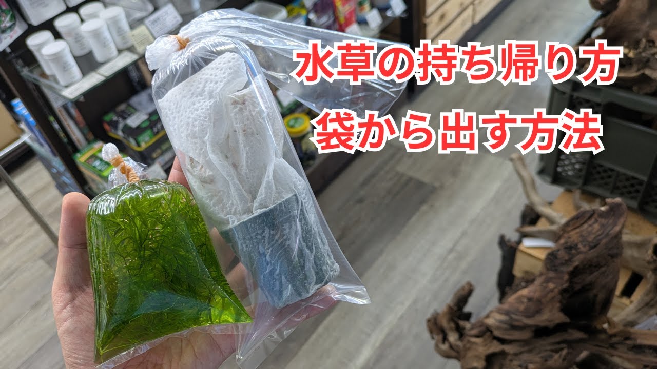 アクアリウム用品大処分！！ 北九州市で水槽・アクアリウム用品を処分する方法 | アークサービス