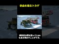 テキサスツノトカゲの防御戦略：「穿血」解説
