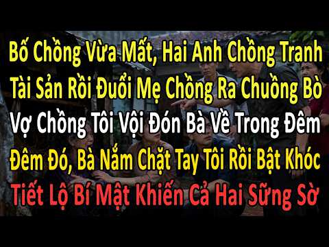 Bố Chồng Vừa Mất, Hai Anh Chồng Tranh Giành Hết Tài Sản Rồi Đuổi Mẹ Chồng Ra Chuồng Bò. Vợ Chồng Tôi