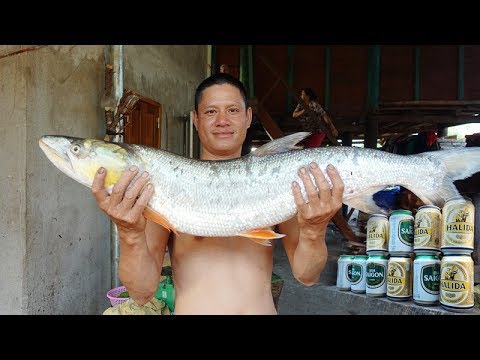 Video CÁ SÔNG ĐÀ HẤP BIA - youtube