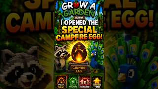 I opened special campfire egg in grow a garden #roblox #viral #viralshorts #campfireevent #pro #gag