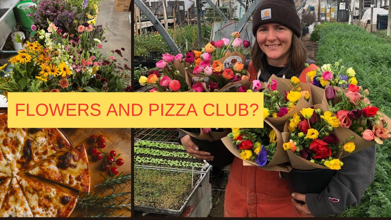 Adding Flowers to your Vegetable Farm with Kimby Decker of Millsap Farms