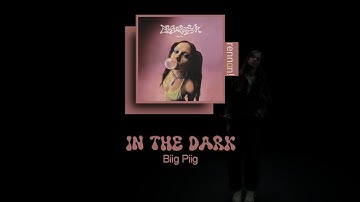 biig piig - in the dark | tradução & letra