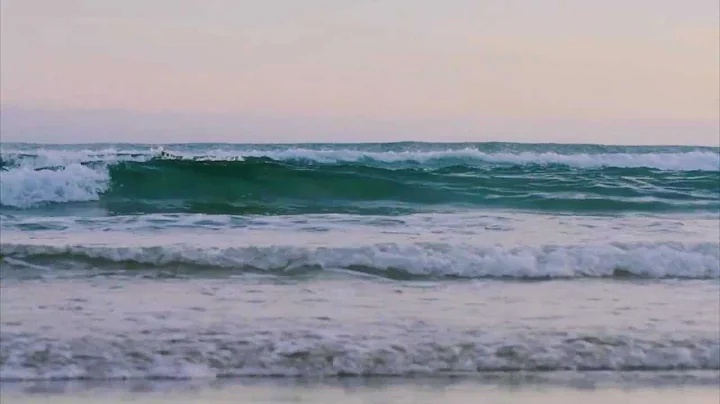 Derek Morrison | Dunedin Light | Insiders Dunedin