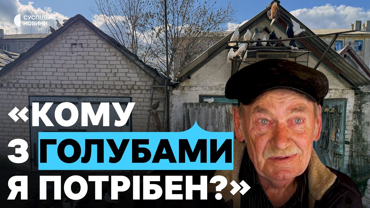 «Куди з птахами їхати?». Голуби прифронтової Донеччини: дві історії чоловіків, що тримають голубники