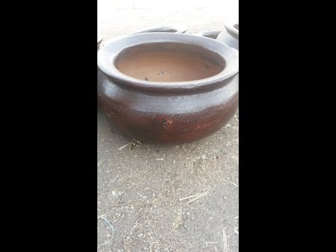 Video: Chakula Cha Maua Cha DIY