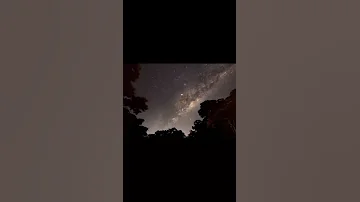 دخيلك ياليل وائل كفوري حالات واتس 