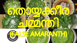 തൊയ്യക്കീര ചമ്മന്തി | False Amaranth Chutney | Thoiya Keerai Chutney | AmbiliMama CookBook