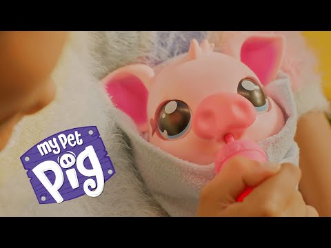 Little Live Pets | My Pet Pig | TVC 30