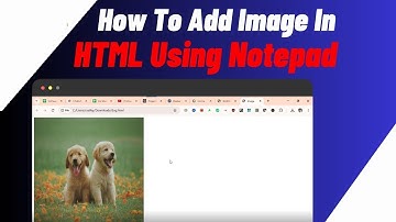 How To Add Image In HTML Using Notepad | Insert Picture In HTML