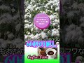#shorts アゲラタム（ホワイト～色彩のリラックス効果）｜1ダースの色えんぴつシリーズ（ヒーリング&リラクゼーション）@oto-ebox