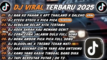 DJ TIKTOK TERBARU 2025 - DJ NAN KO PAHAM X APT THAILAND🎵DJ STECU STECU X PICA PICA🎵FULL ALBUM