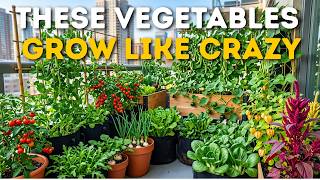 13 Most Productive Vegetables for Container Gardening