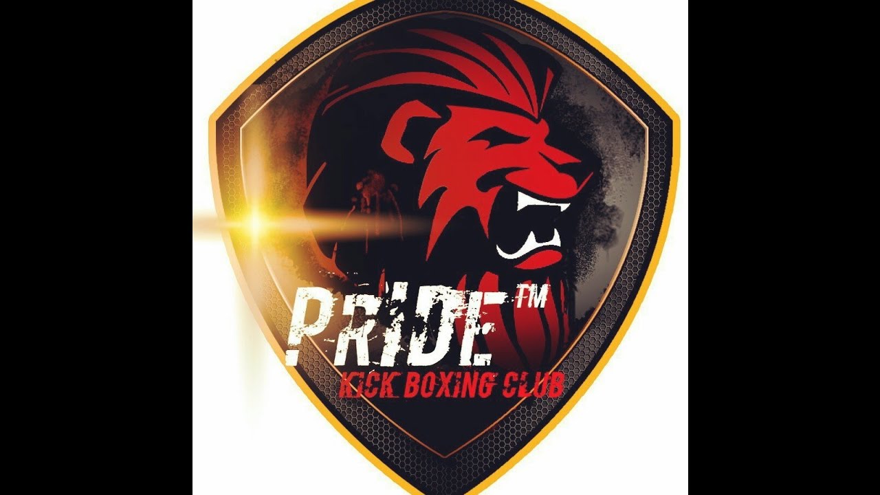 Pride car audio наклейка. Pride car audio logo. Прайд машина. Pride ростов. Pride audio наклейка.