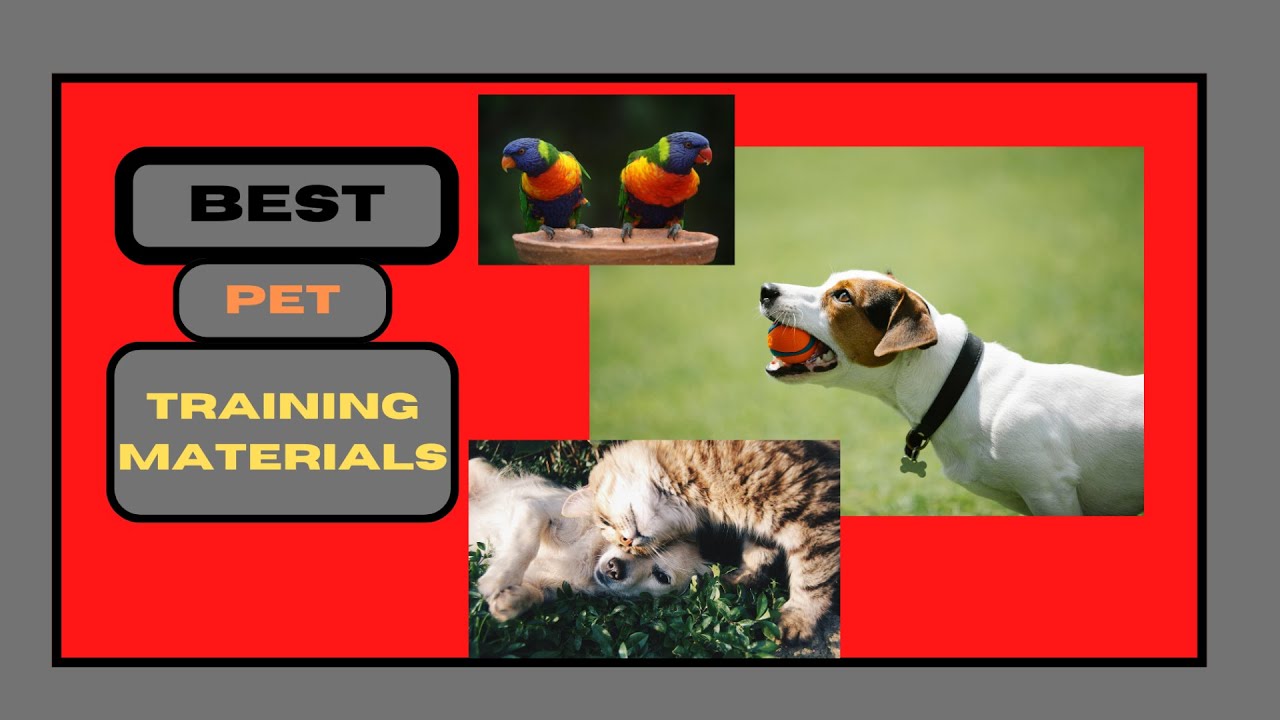 BEST PET TRAINING PRODUCTS  E BOOKS