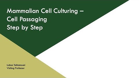 Cell Passaging | CSU BMB Exploring Biochem