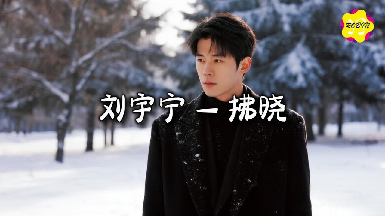 刘宇宁 - 拂晓『坚持 别回头 信守，破晓后 会有自由。』【动态歌词MV】