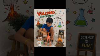Volcano experiment by my nephew😍 #shorts #science #fun