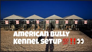American bully kennel setup part one ☝🏿 #americanbully #zulunationfamily #americanbully #zulunation