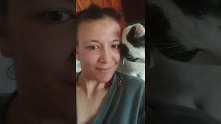 pandam🐼✨ #keşfet #cat #tekirkedi