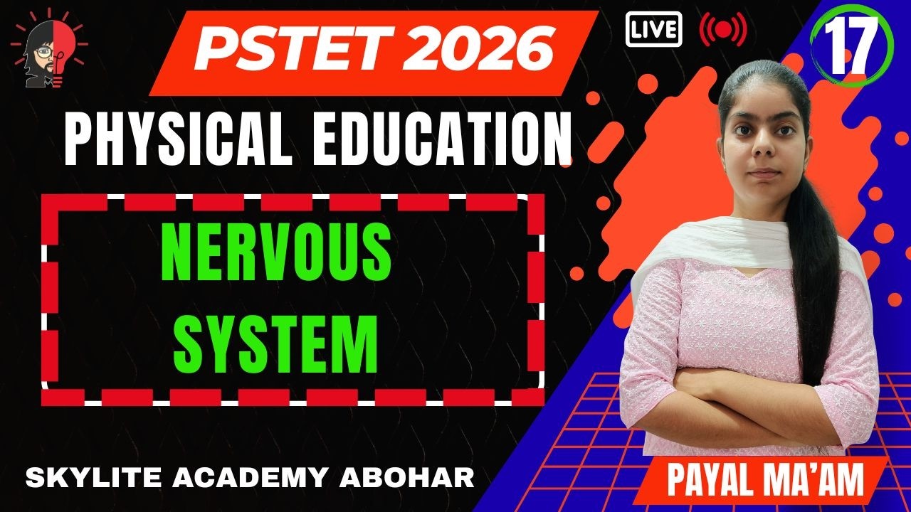 PSTET 2026 | PHYSICAL EDUCATION | DAY - 17 | NERVOUS SYSTEM | SKYLITE ACADEMY ABOHAR | 95809-20001