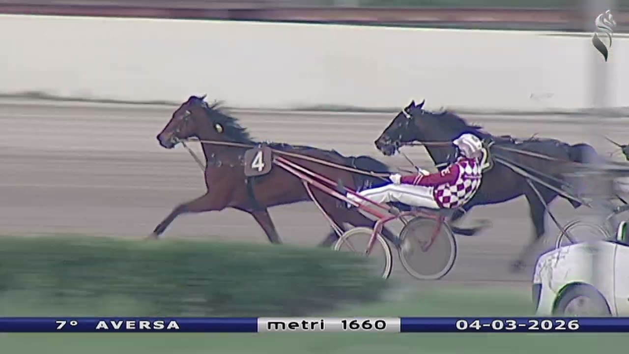 Aversa trotto 4 Marzo 2026 - 7° Corsa