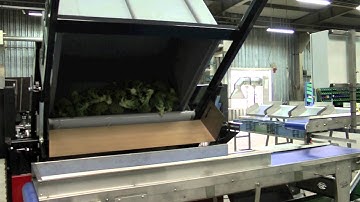 Broccoli line by Christiaens