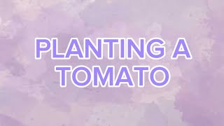 TLE PLANTING A TOMATO 7 - JOSIAH